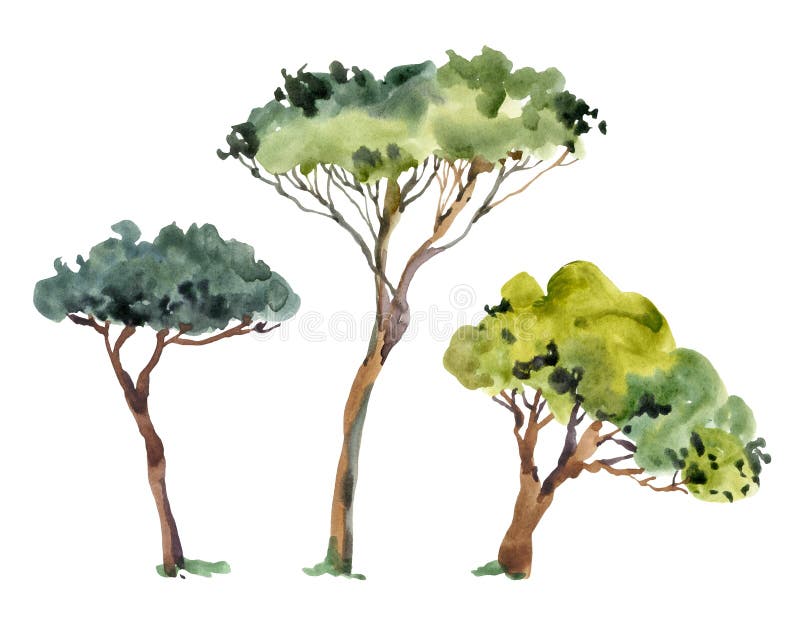 Naturalny zestaw zielonych drzew w kolorze wodnym, zbiór krajobrazu wyizolowany na białym tle ilustracji Naturalny zestaw zielonych drzew w kolorze wodnym, zbiór krajobrazu wyizolowany na białym tle ilustracji