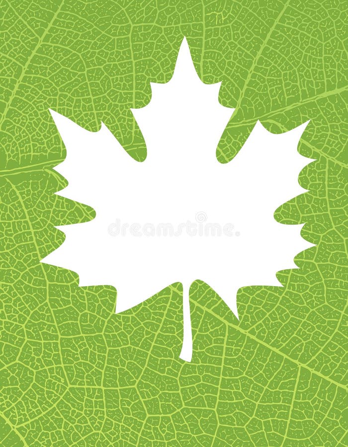 Naturbakgrund med ledigt utrymme för text eller bild. Grön bladveintextur på den tonade återvunna papperstexturen stock illustrationer