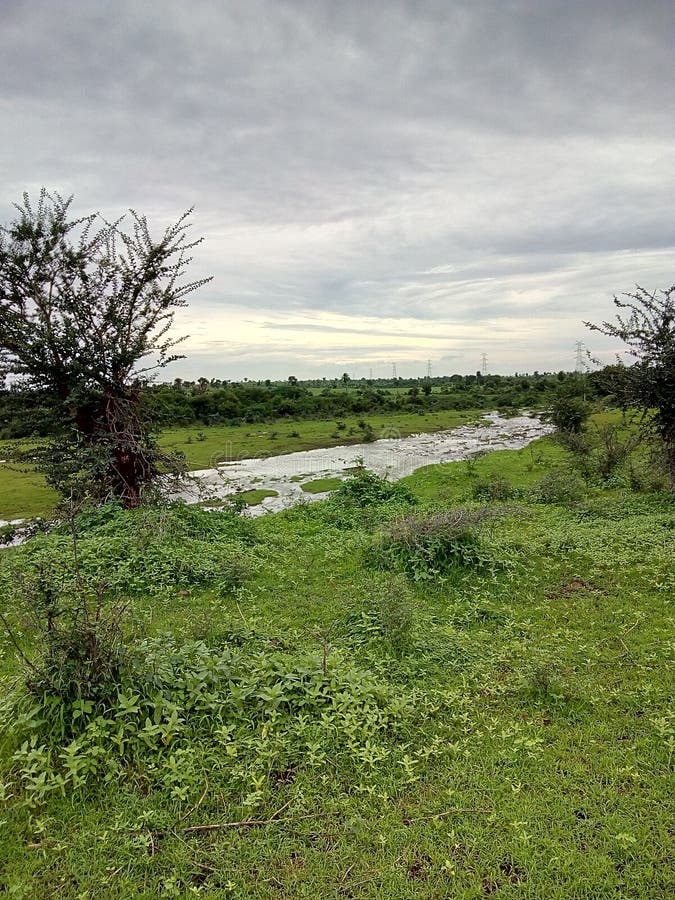 Nature photos libres de droits