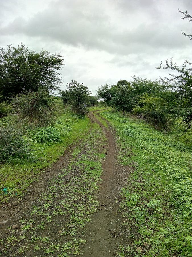 Nature images libres de droits