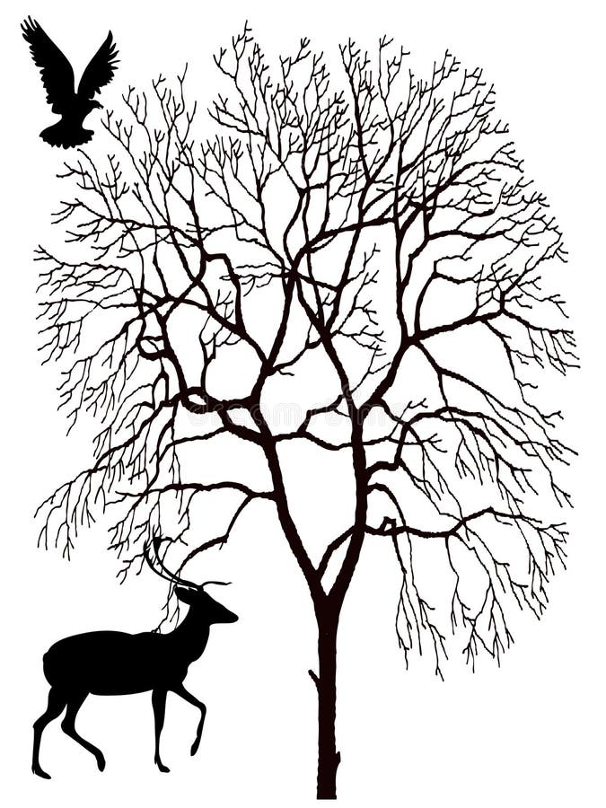 Howling wolf silhouette stock vector. Illustration of animal - 9245312