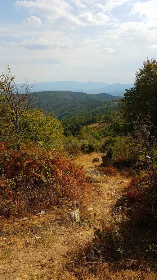 nature image libre de droits nature image libre de droits