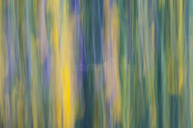 Nature abstract background