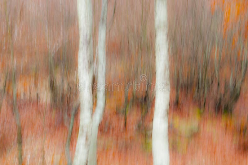 Nature abstract background