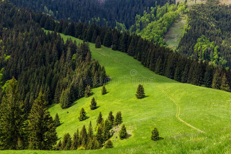 Nature along the cycling way from Malino Brdo to Revuce in Slovakia