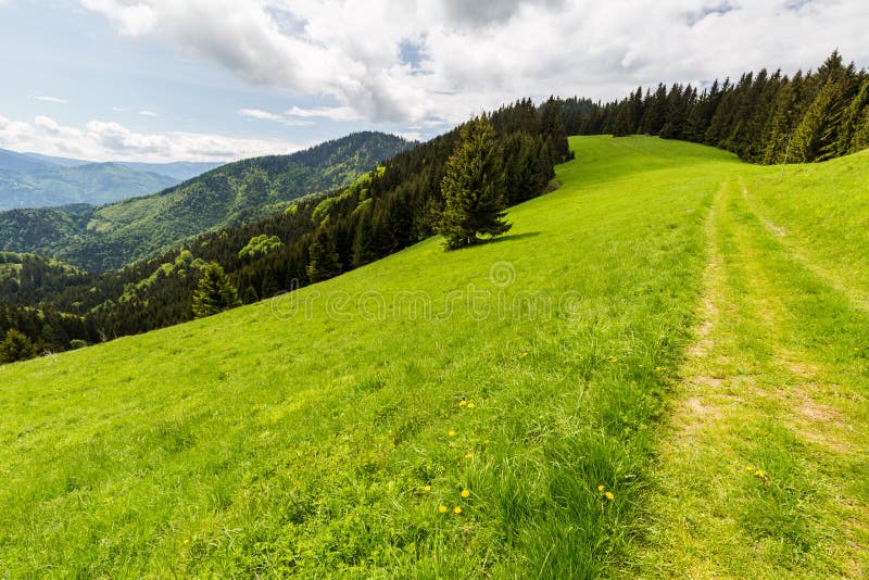 Nature along the cycling way from Malino Brdo to Revuce in Slovakia