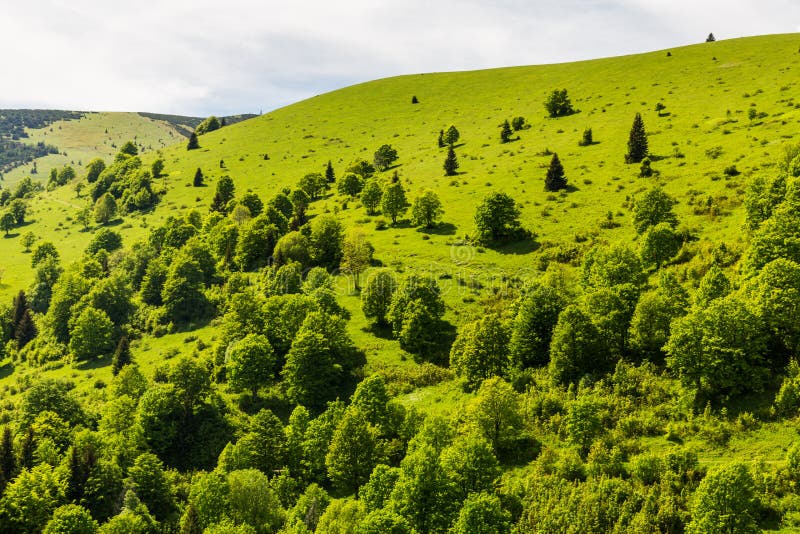 Nature along the cycling way from Malino Brdo to Revuce in Slovakia