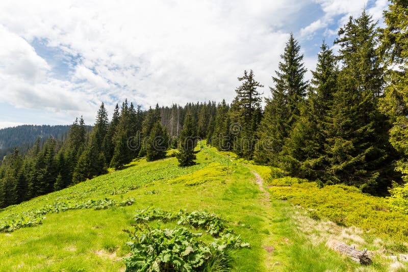 Nature along the cycling way from Malino Brdo to Revuce in Slovakia