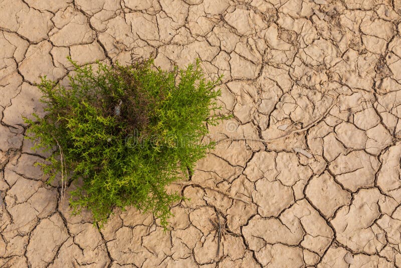 Nature background of cracked dry lands. Antiparos island, Greece