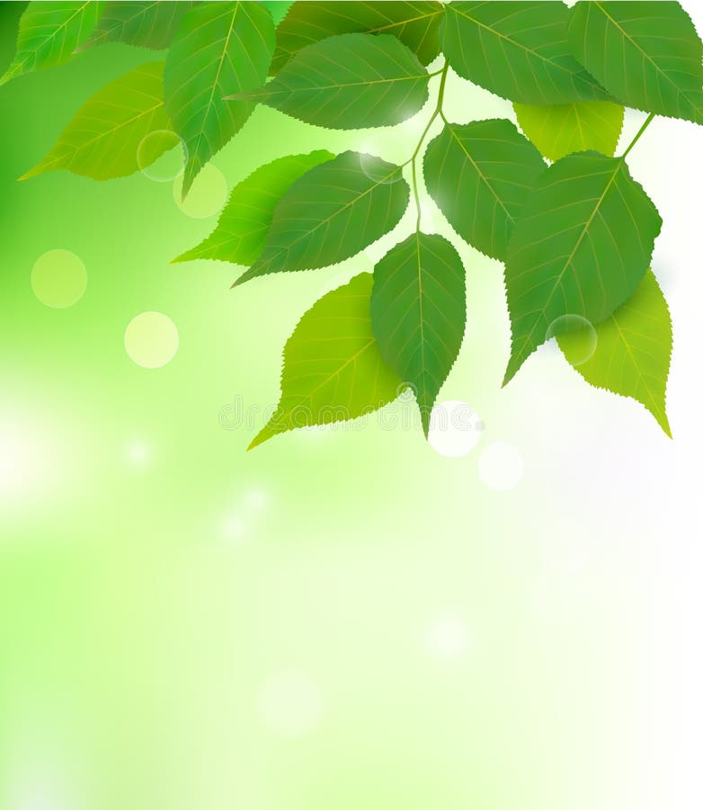 Nature background with fresh green leaves stock illustration