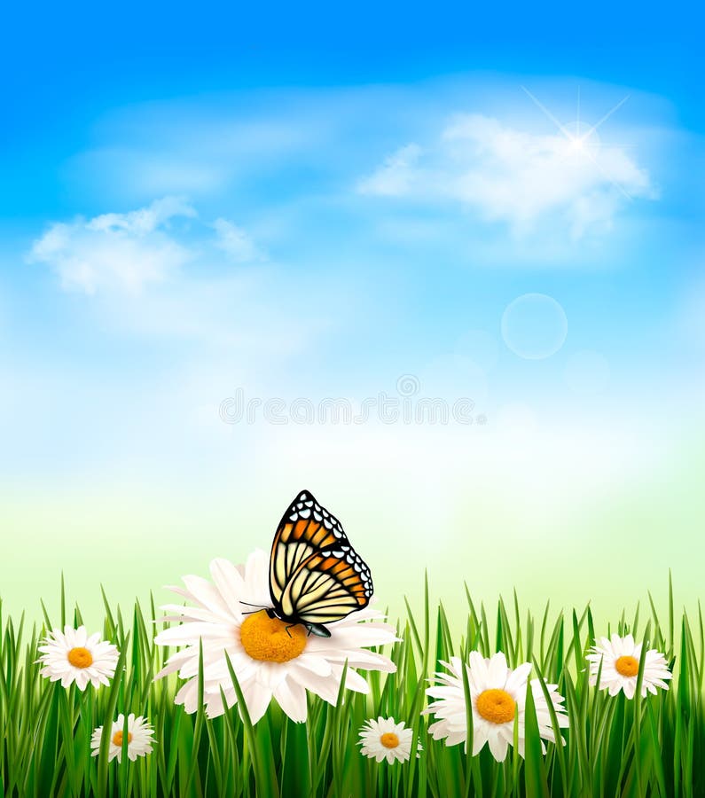 Nature background with green grass and flowers wit vector illustration Nature background with green grass and flowers wit vector illustration