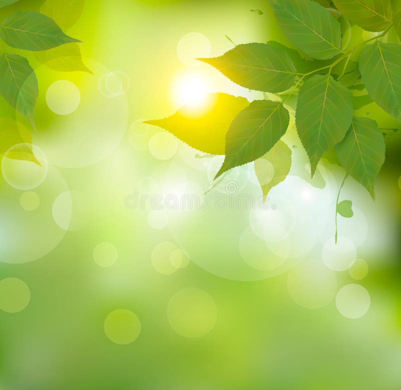 Nature background with green spring leaves. royalty free illustration Nature background with green spring leaves. royalty free illustration