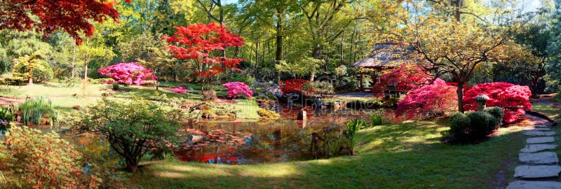 Nature background panorama stock photography Nature background panorama stock photography