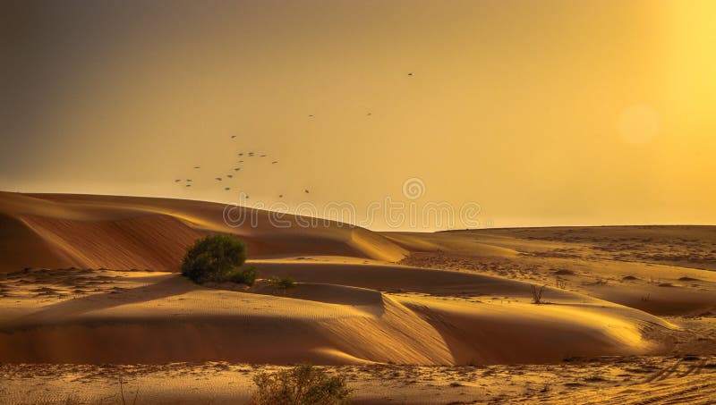 Nature of Sands of the Desert Dunes. it is Situated in Morocco. the Sahara is a Desert Located on the African Continent Stock Photo - Image of egypt, africa: 150332218