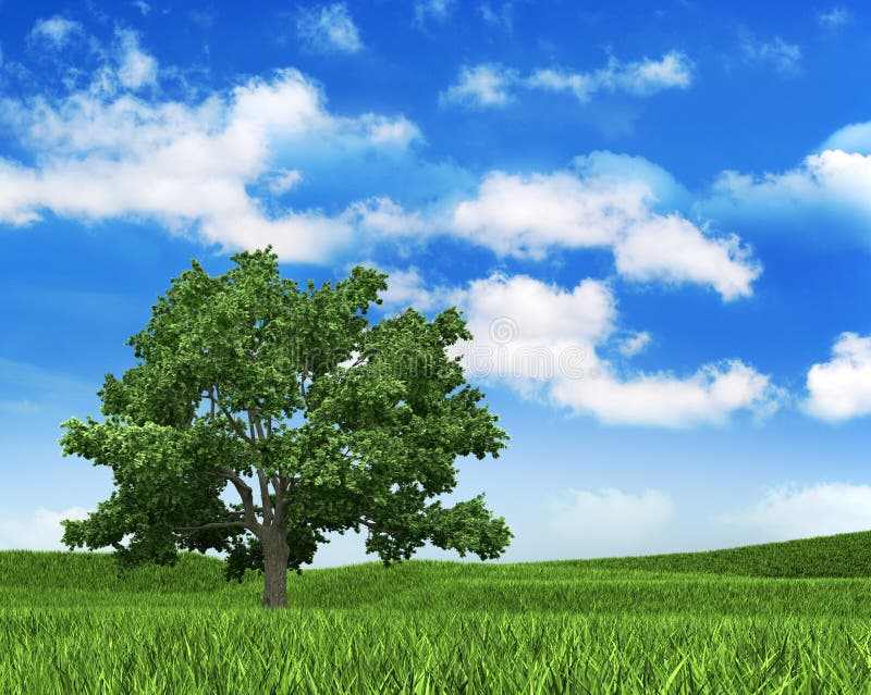 Beautiful Nature Landscape Background Green Grass And Blue Sky Stock  Photo Picture And Royalty Free Image Image 50888114