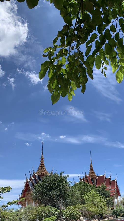 Mở rộng tầm mắt, bạn sẽ thấy bầu trời xanh thẳm đầy Blue Skies. Một cảm giác thư giãn và bình yên sẽ lan tỏa trong bạn khi nhìn thấy tầm nhìn bao la của vũ trụ. Bầu trời xanh thẳm giúp cho bạn cảm thấy thoải mái và sảng khoái sau những ngày làm việc mệt mỏi, hãy đến và trải nghiệm.