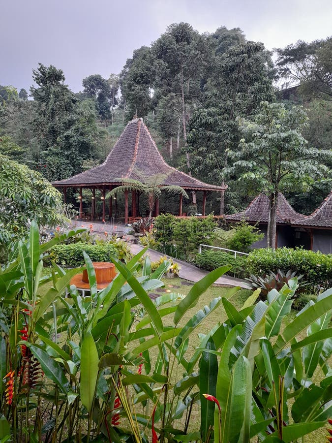 Nature At Bandung West Java Indonesia Stock Image Image Of Leaf Nature At Bandung West Java Indonesia Stock Image Image Of Leaf