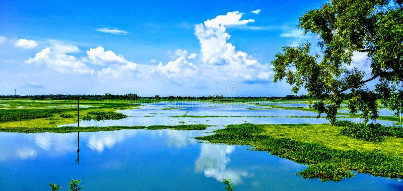 Nature in Bangladesh stock image. Image of clear, bangladesh - 123981743