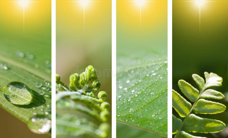 Nature banners stock photos Nature banners stock photos