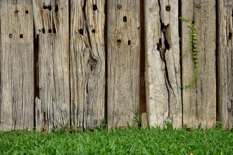 Nature fence stock image. Image of boarded, hardwood 56068363