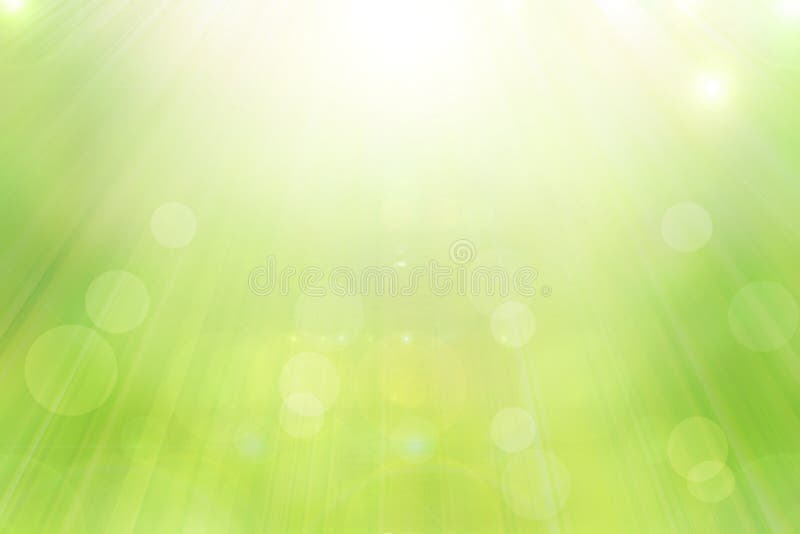 Abstract green spring with sunlight bokeh background from tree. Timber plank backdrop stock images, royalty-free photos and pictures