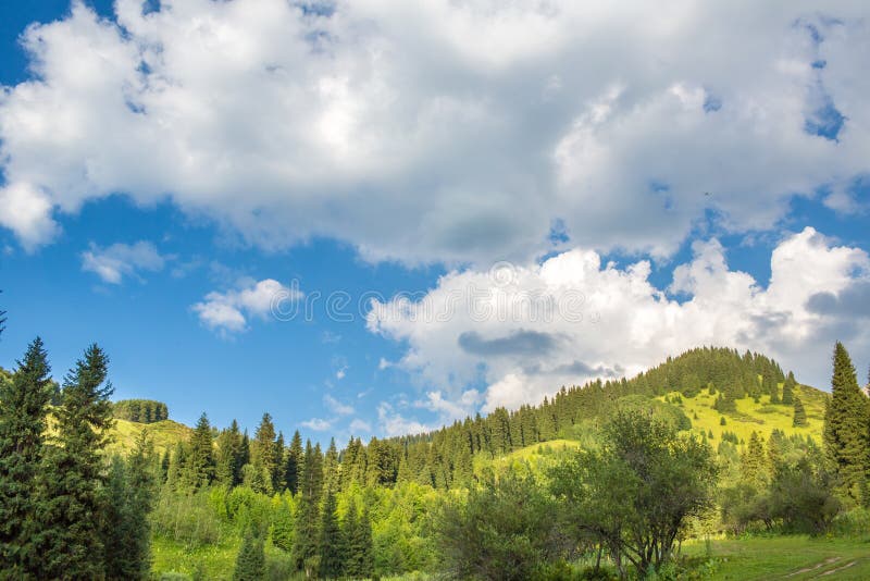 Nature of green trees and blue sky, near Medeo in Almaty, Kazakhstan,Asia