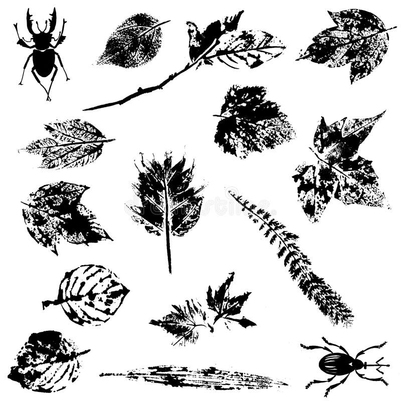Nature Grunge Elements vector illustration Nature Grunge Elements vector illustration