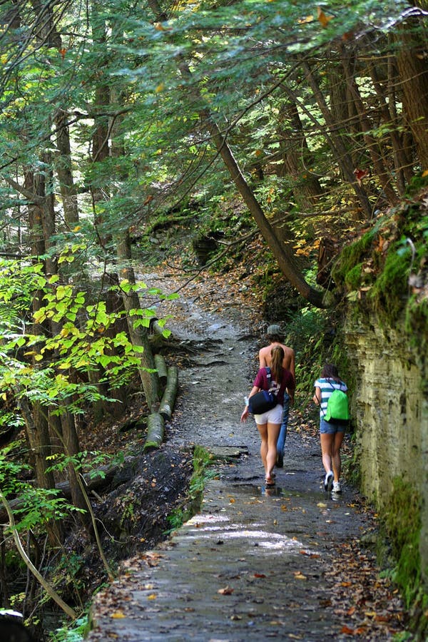Nature Hike stock photo. Image of active, children, fall - 1367658
