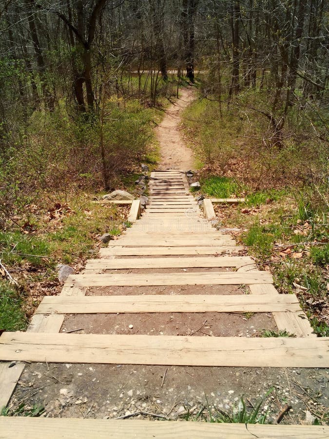 Nature Hike stock photo. Image of steps, stairs, hike - 53115868