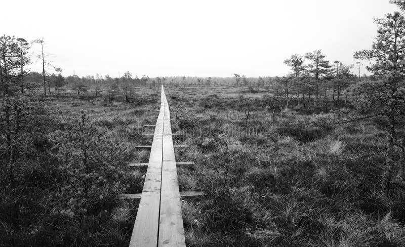 Nature hiking trail scene royalty free stock images Nature hiking trail scene royalty free stock images