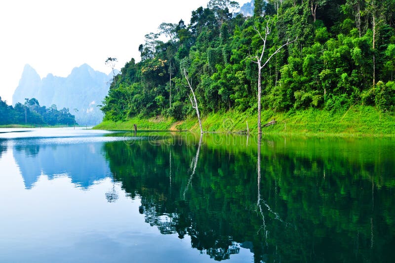 Nature at KhaoSok , Thailand