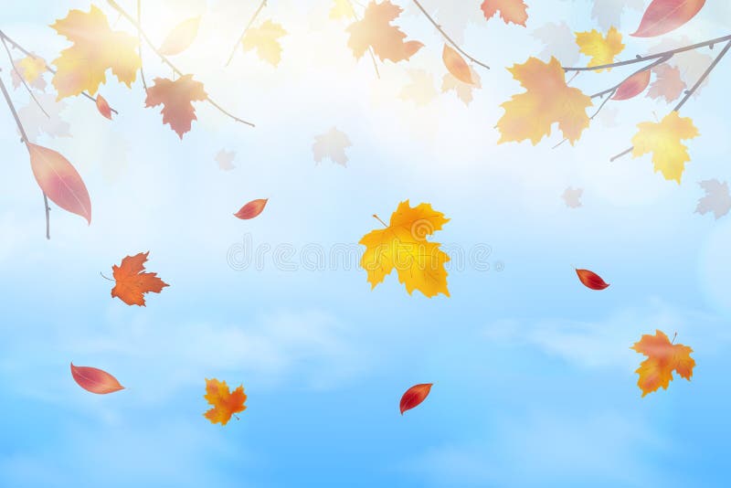 Nature Landscape Background with Falling Autumn falling red, yellow, orange, brown Maple Leaves on Blue sky, Fluffy