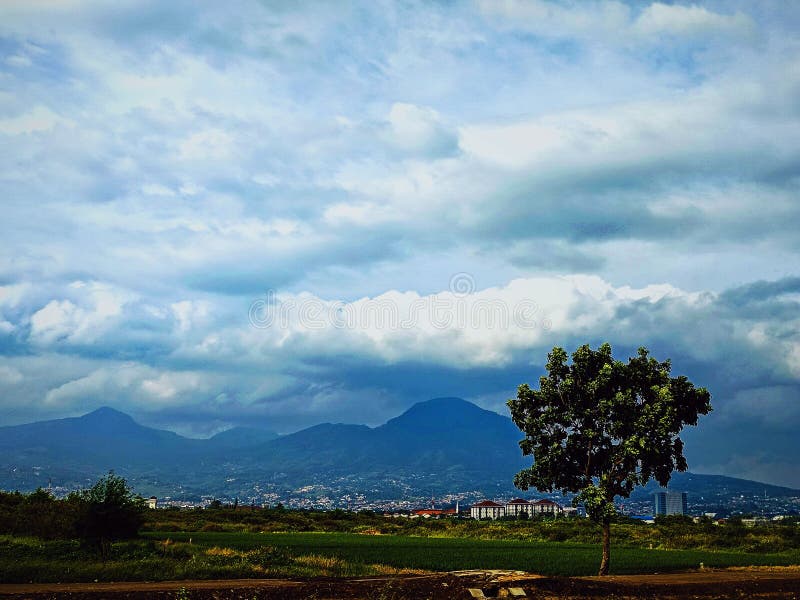 Nature landscape morning