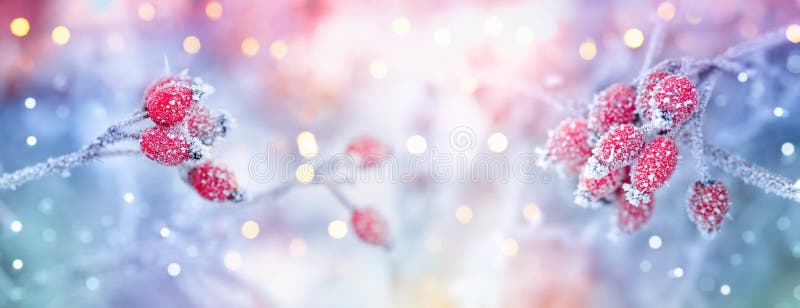 3,677,465 Winter Background Stock Photos - Free & Royalty-Free Stock Photos  from Dreamstime