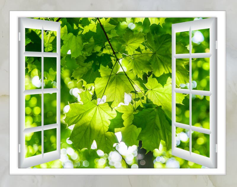 Nature landscape with view through window