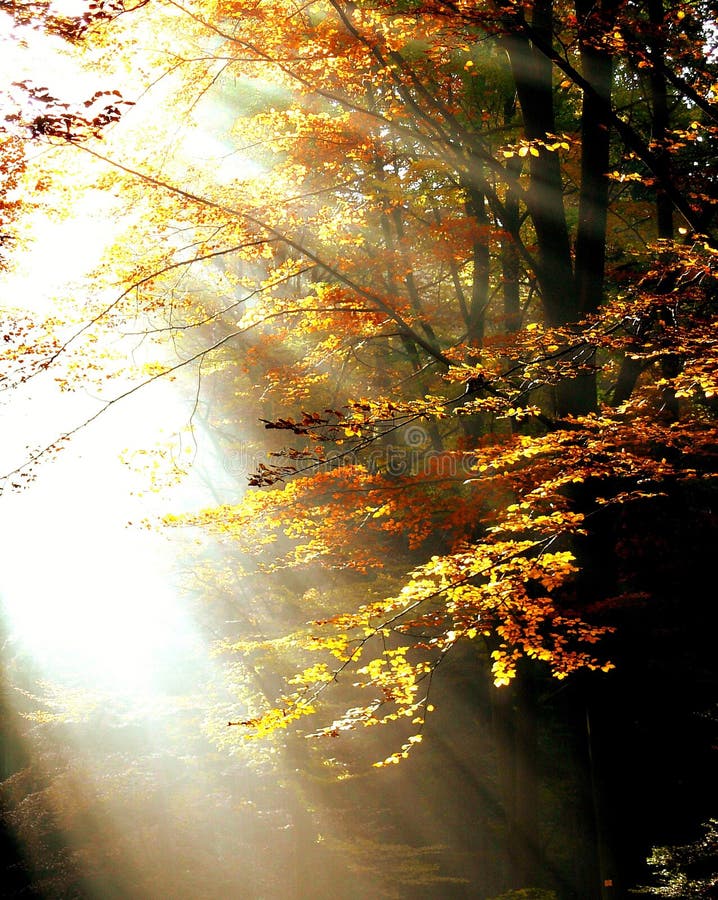 autumn images autumn images