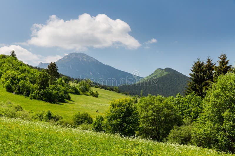 Príroda na Liptove, Slovensko v lete 2015