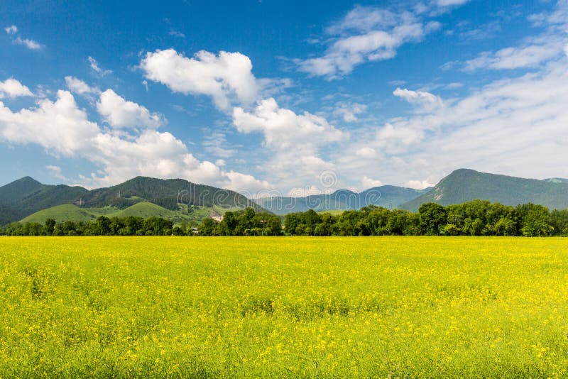 Nature in Liptov region, Slovakia in summer 2015