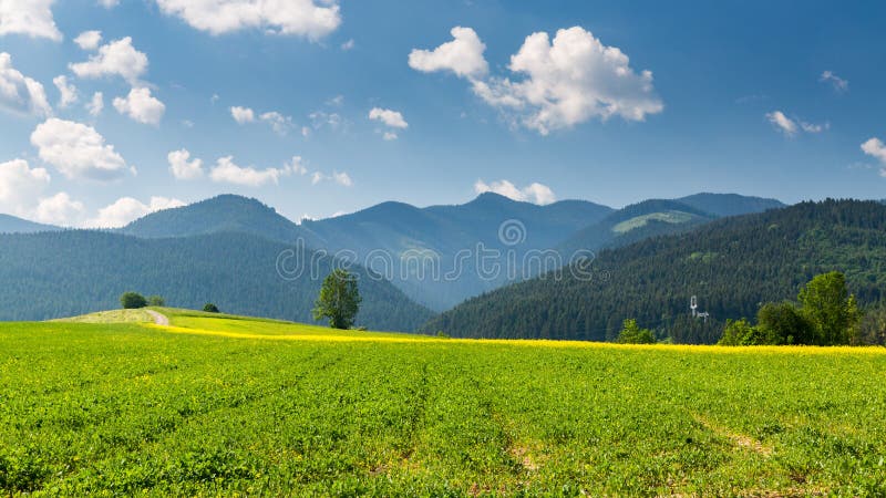 Nature in Liptov region, Slovakia in summer 2015