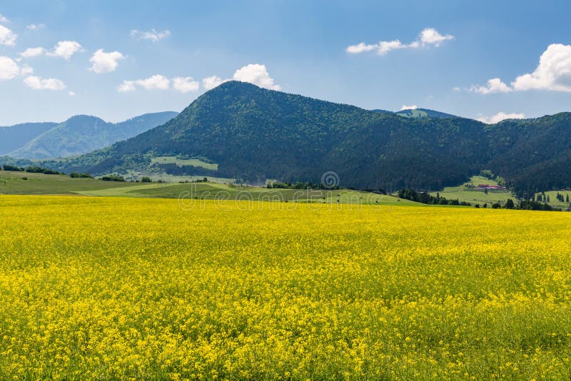 Příroda v regionu Liptov, Slovensko v létě 2015