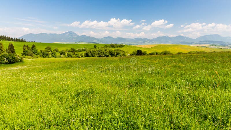 Nature in Liptov region, Slovakia in summer 2015