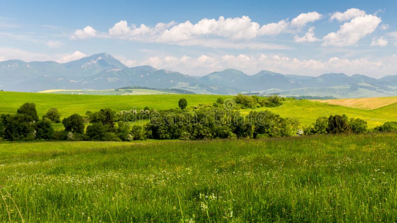 Nature in Liptov region, Slovakia in summer 2015