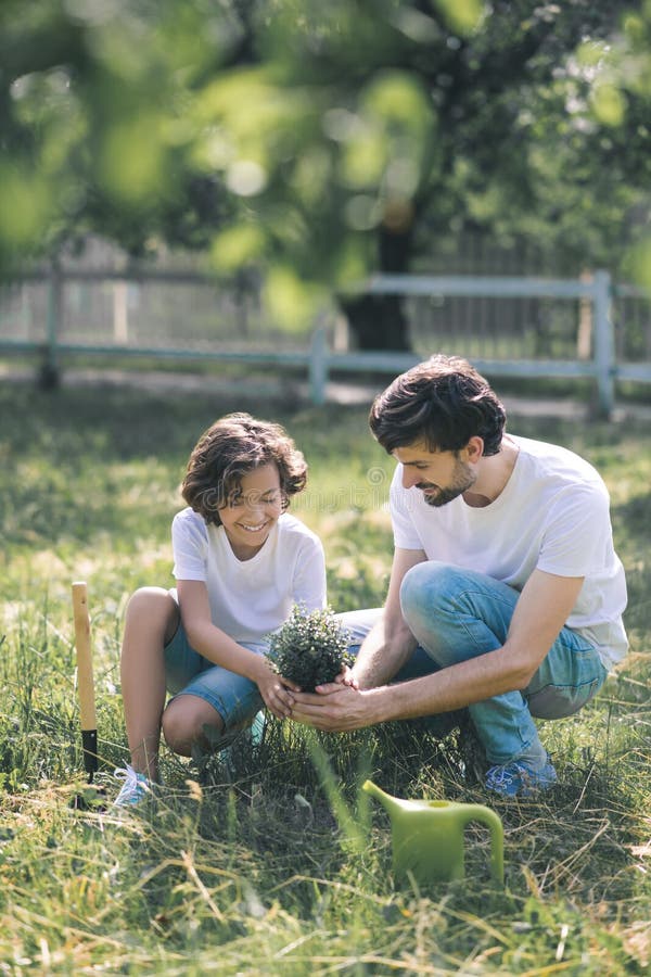 Dark-haired boy and his dad holding the plant and smiling royalty free stock images