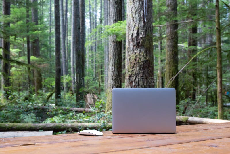 Nature Meets Technology for the Workaholics; a Laptop and a Mouse on a Picnic Table in a Campground in Vancouver Island, in the Stock Image - Image of tall, 163618007