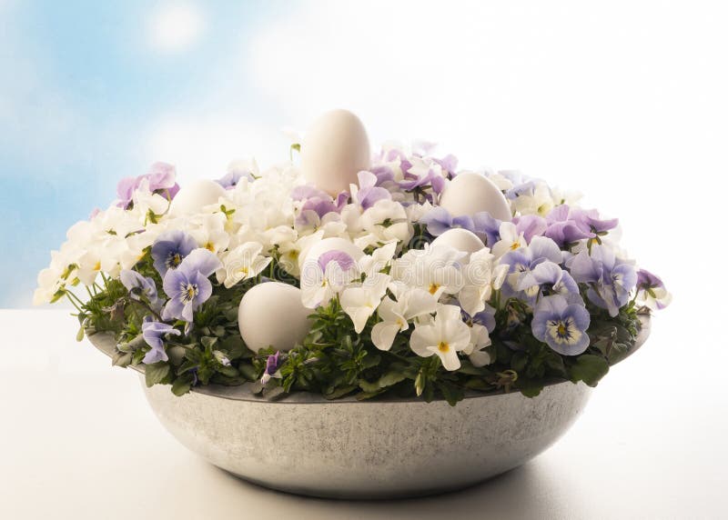 Mauro Pezzotta (Uncino) - Profil du collaborateur sur Dreamstime