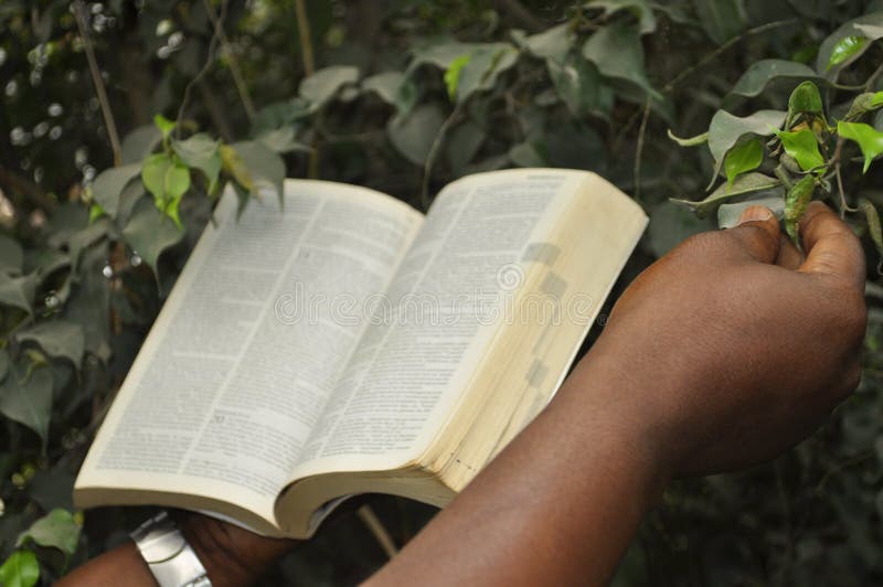 231 Human Intervention Nature Stock Photos Free & RoyaltyFree Stock