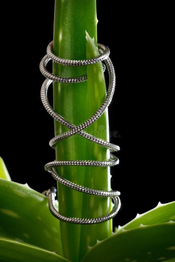 Nature needs freedom