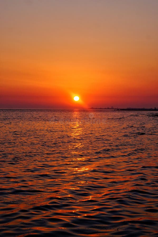 Nature royalty free stock images