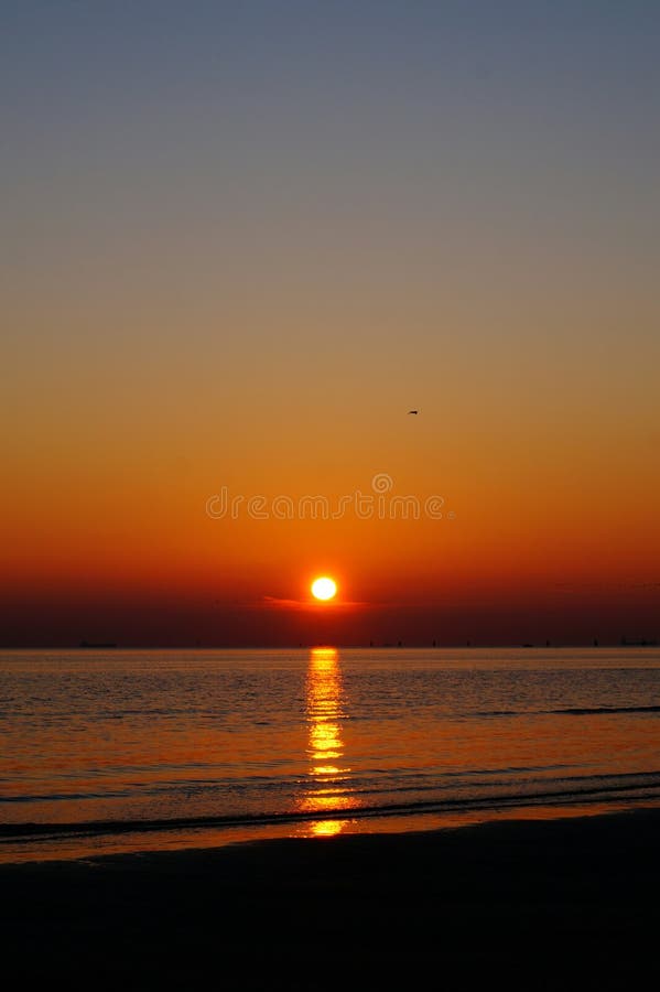 Nature royalty free stock image