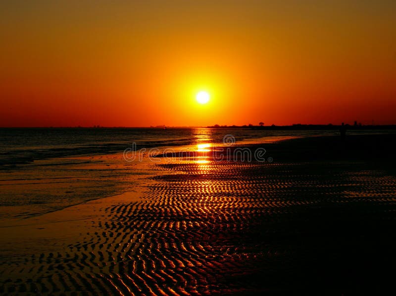 Nature royalty free stock images